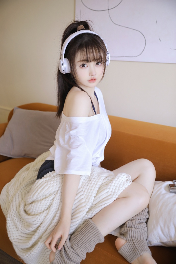 甄嬛传 封面